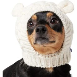 Frisco Polar Bear Sweater Knit Dog & Cat Hat -Meowverse Store 745742 PT2. AC SS1800 V1694793756