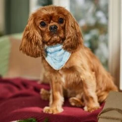 Frisco Reversible Snowflake Cozy Knit Faux Fur Dog & Cat Pullover Bandana, 1 Count -Meowverse Store 746630 PT6. AC SS1800 V1694799358