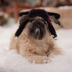 Frisco Tartan Plaid Dog & Cat Trapper Hat -Meowverse Store 746750 PT5. AC SS1800 V1694800749