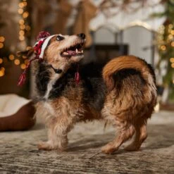 Frisco Nordic Pawprint Dog & Cat Hat 12 Frisco Nordic Pawprint Dog & Cat Hat -Meowverse Store 746782 PT5. AC SS1800 V1694799891