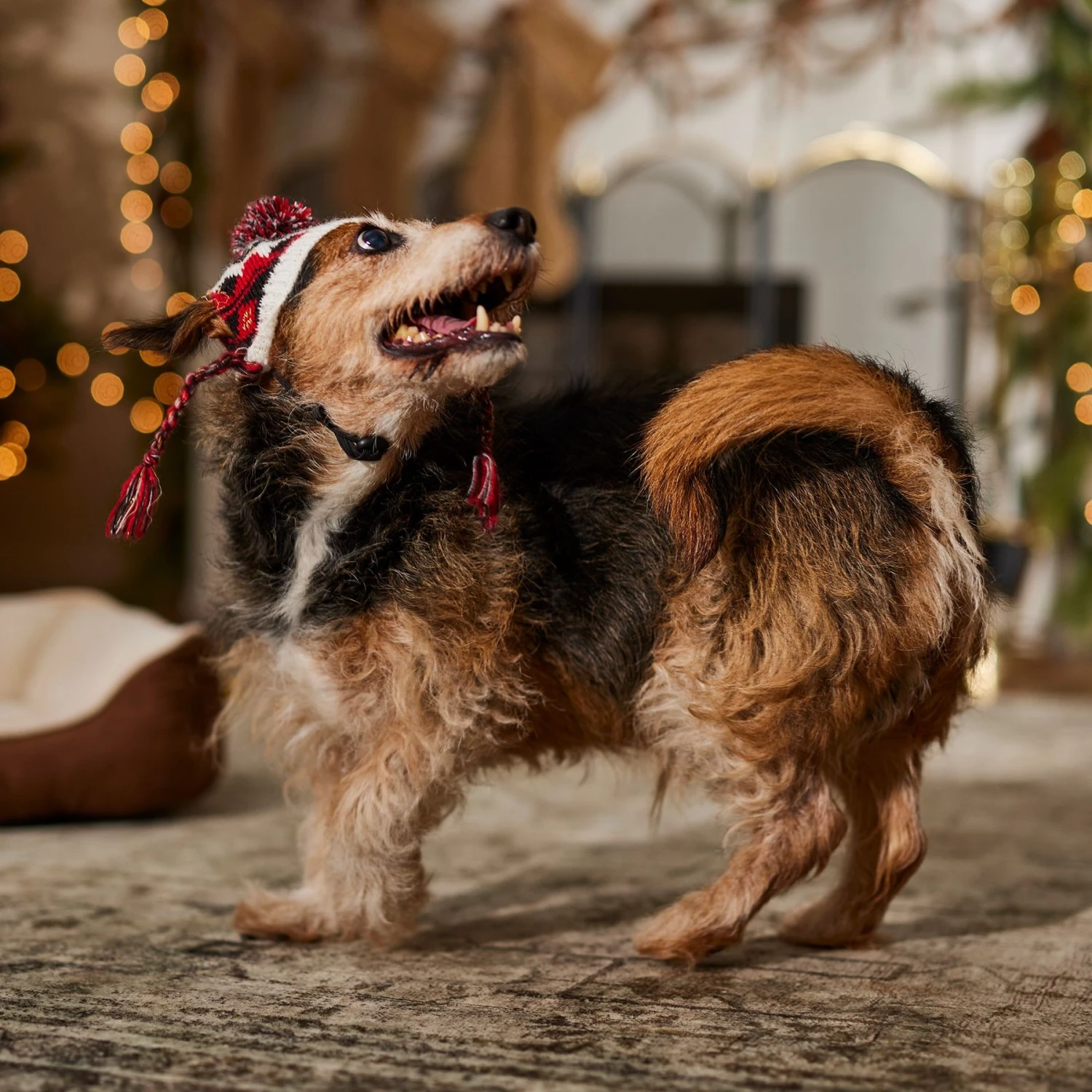 Frisco Nordic Pawprint Dog & Cat Hat 6 Frisco Nordic Pawprint Dog & Cat Hat - Image 6