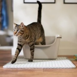 Frisco Cat Litter Trapping Mat 10 Frisco Cat Litter Trapping Mat -Meowverse Store 862886 PT6. AC SS1800 V1697034710