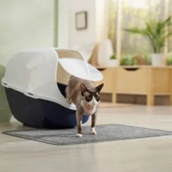 Frisco High Sided Cat Litter Box, Extra Large & Frisco Rectangular Cat Litter Mat 17 Frisco High Sided Cat Litter Box, Extra Large & Frisco Rectangular Cat Litter Mat -Meowverse Store 933398 PT8. AC SS1800 V1692303236