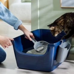 Frisco Open Top Cat Litter Box With Rim, Large & Frisco Plastic Litter Scooper With Caddy -Meowverse Store 947526 PT5. AC SS1800 V1693924259