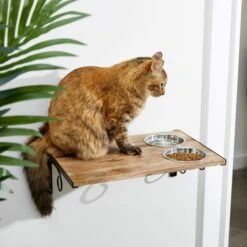 Coziwow Wall Mounted Shelves Set Cat Tree & Frisco Wooden Wall Mounted Stainless Steel Cat Feeding Station With Bowl 17 Coziwow Wall Mounted Shelves Set Cat Tree & Frisco Wooden Wall Mounted Stainless Steel Cat Feeding Station With Bowl -Meowverse Store 947694 PT8. AC SS1800 V1693602742