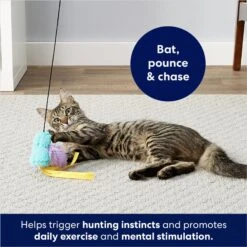 Frisco Squirrel Plush Cat Toy With Refillable Catnip & Frisco Bird With Feathers Teaser Wand Cat Toy With Catnip -Meowverse Store 962030 PT8. AC SS1800 V1694783953