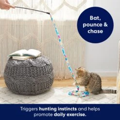 Frisco Fabric Teaser Wand Cat Toy & Frisco Bird With Feathers Teaser Wand Cat Toy With Catnip 12 Frisco Fabric Teaser Wand Cat Toy & Frisco Bird With Feathers Teaser Wand Cat Toy With Catnip -Meowverse Store 962094 PT3. AC SS1800 V1694782977