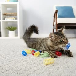Frisco Colorful Springs Cat Toy & Frisco Bird With Feathers Teaser Wand Cat Toy With Catnip -Meowverse Store 962126 PT4. AC SS1800 V1694782923