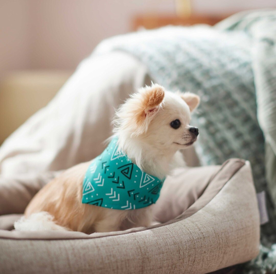 Meowverse Store -Meowverse Store s l1200 6